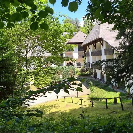 Ferienwohnung In Triberg Am Waldrand - Idyllisch, Ruhig, Erholsam Triberg im Schwarzwald Exterior photo