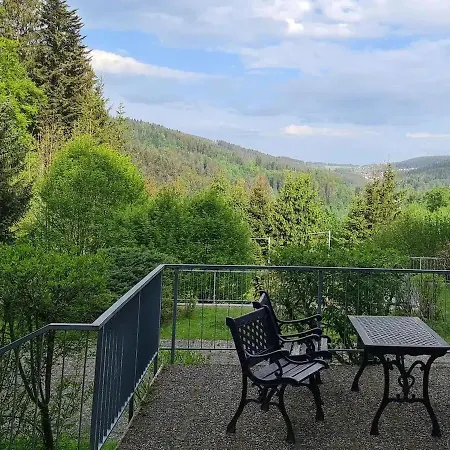 Ferienwohnung In Triberg Am Waldrand - Idyllisch, Ruhig, Erholsam Triberg im Schwarzwald Exterior photo