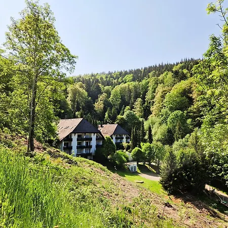 Ferienwohnung In Triberg Am Waldrand - Idyllisch, Ruhig, Erholsam Triberg im Schwarzwald Exterior photo