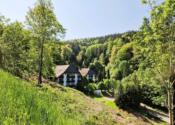 Ferienwohnung In Triberg Am Waldrand - Idyllisch, Ruhig, Erholsam