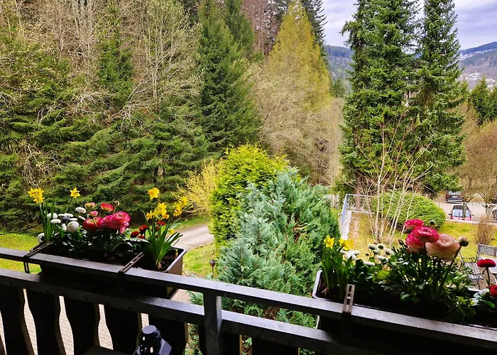 Ferienwohnung in Triberg am Waldrand - idyllisch, ruhig, erholsam