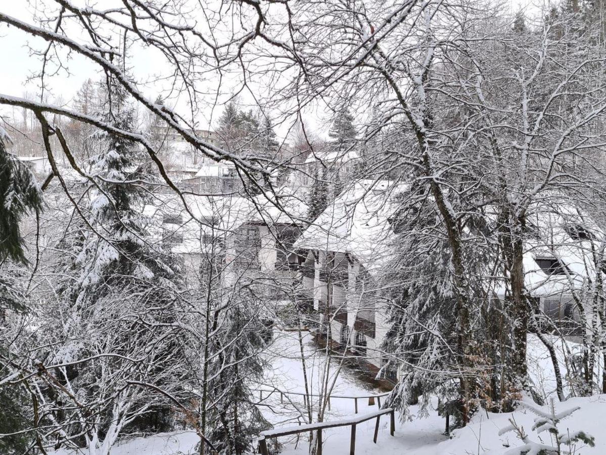 In Triberg Am Waldrand - Idyllisch, Ruhig, Erholsam * Triberg im Schwarzwald