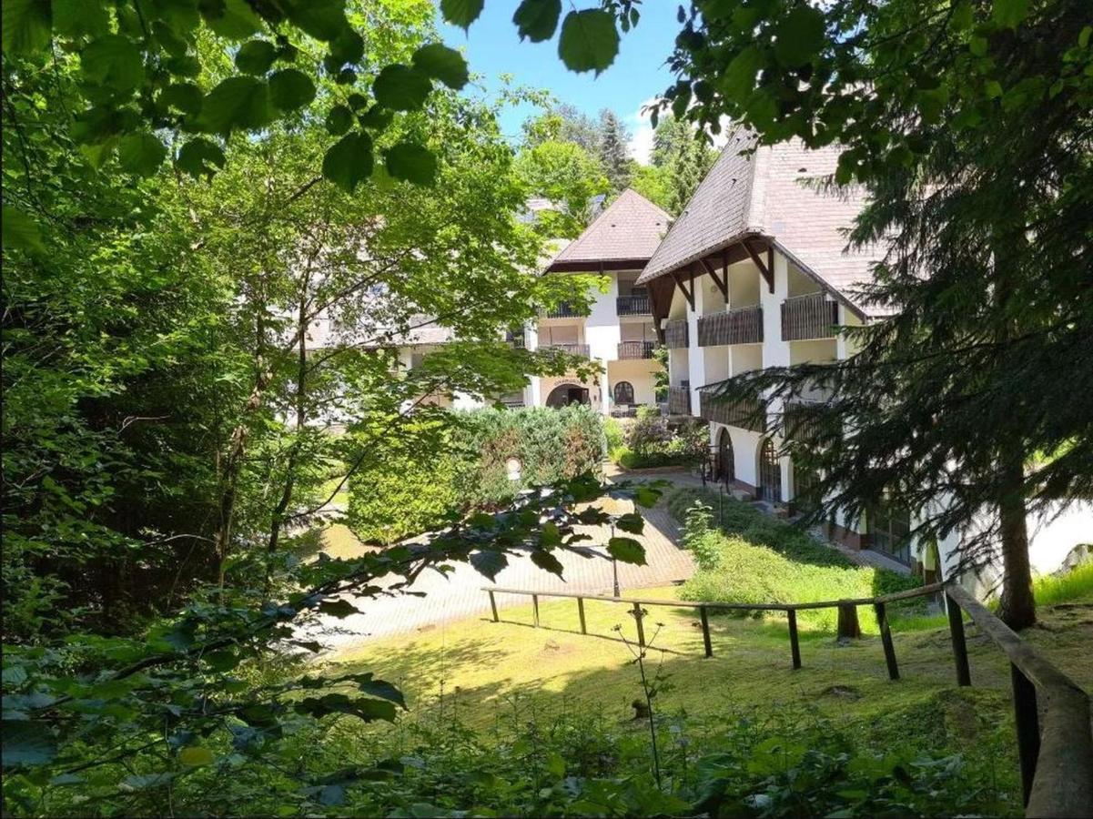Apartment In Triberg Am Waldrand - Idyllisch, Ruhig, Erholsam *