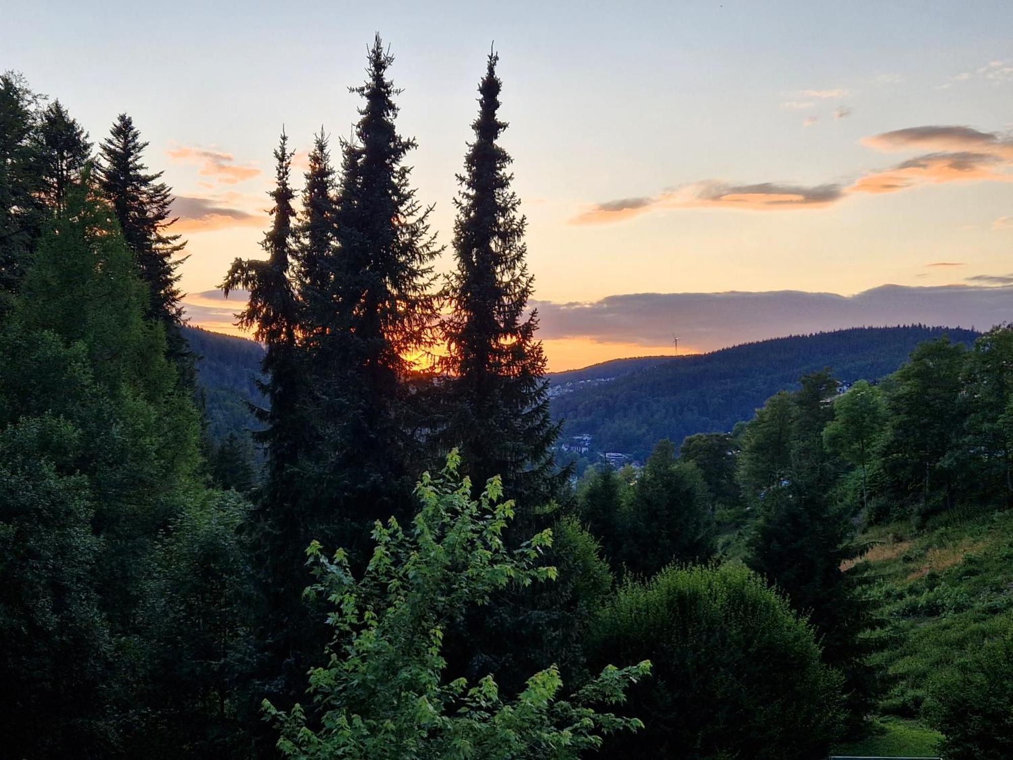 In Triberg Am Waldrand - Idyllisch, Ruhig, Erholsam *
