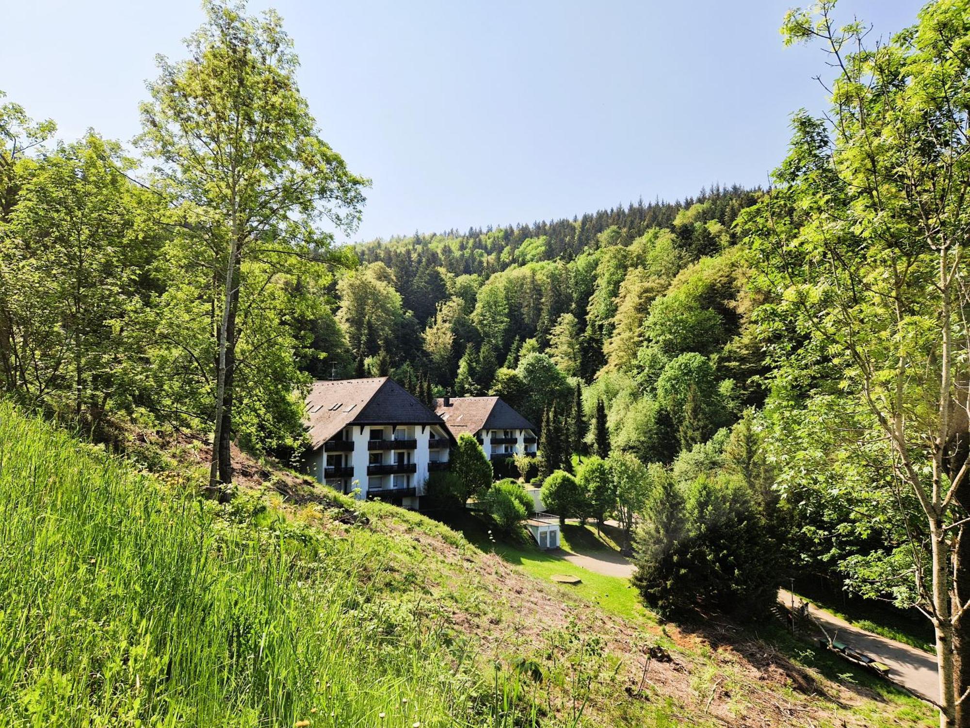 In Triberg Am Waldrand - Idyllisch, Ruhig, Erholsam *
