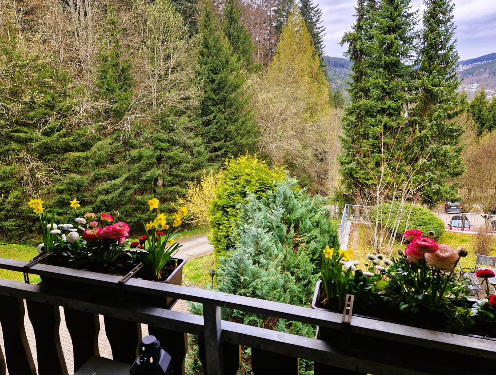 Apartment In Triberg Am Waldrand - Idyllisch, Ruhig, Erholsam Triberg im Schwarzwald