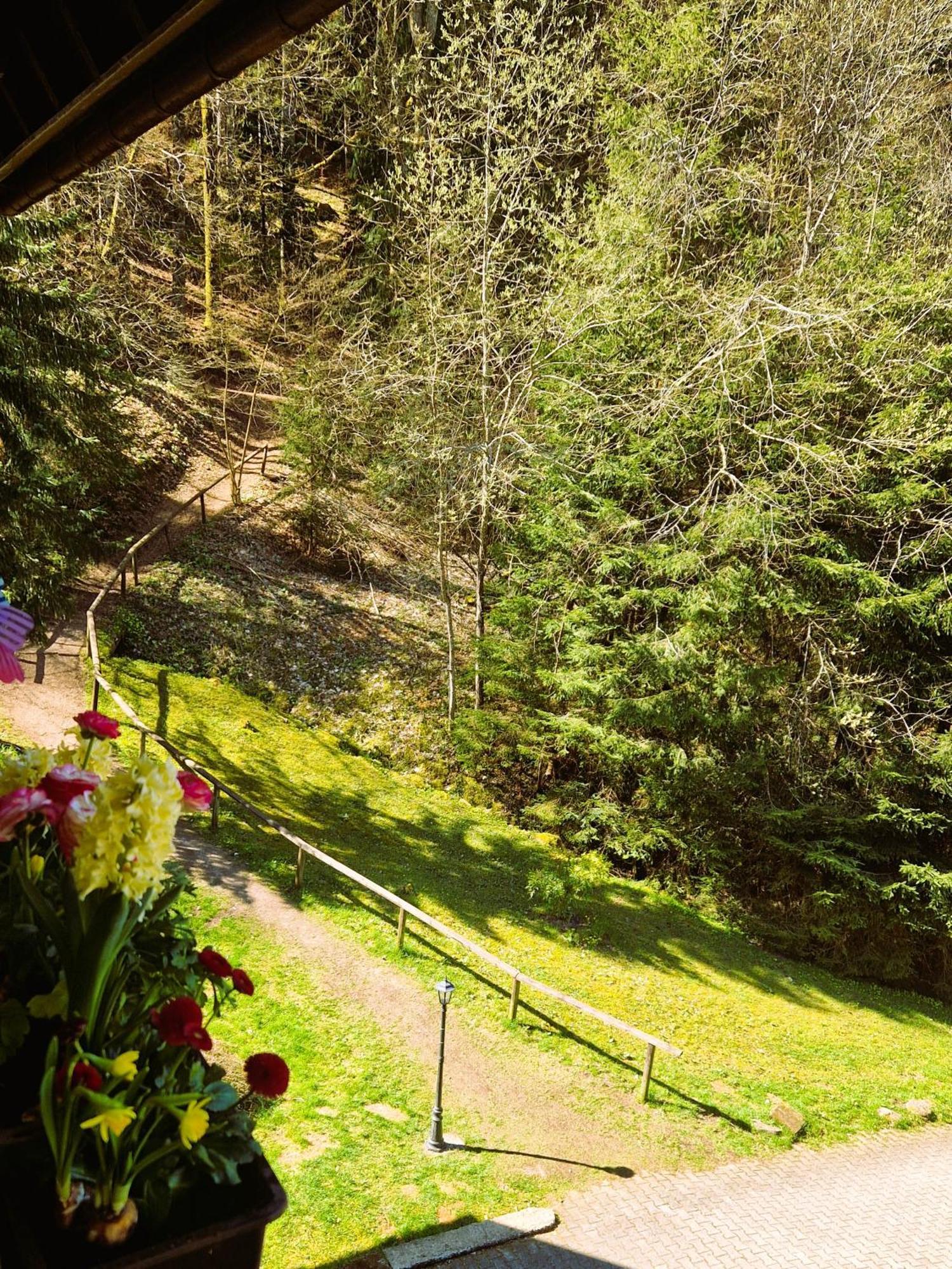 In Triberg Am Waldrand - Idyllisch, Ruhig, Erholsam Triberg im Schwarzwald